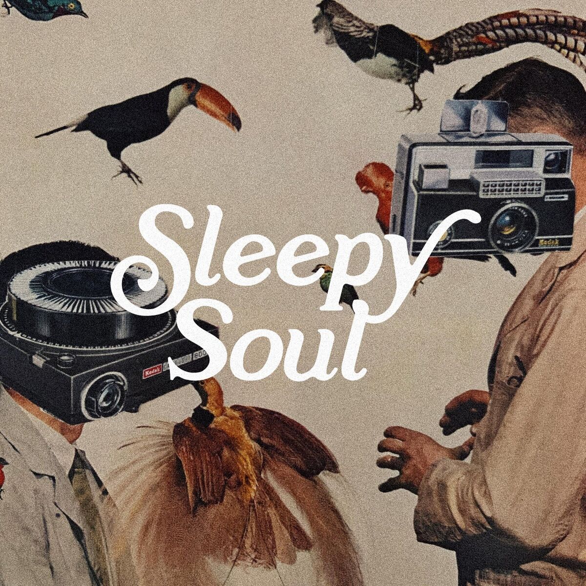 Album cover of Sleepy Soul