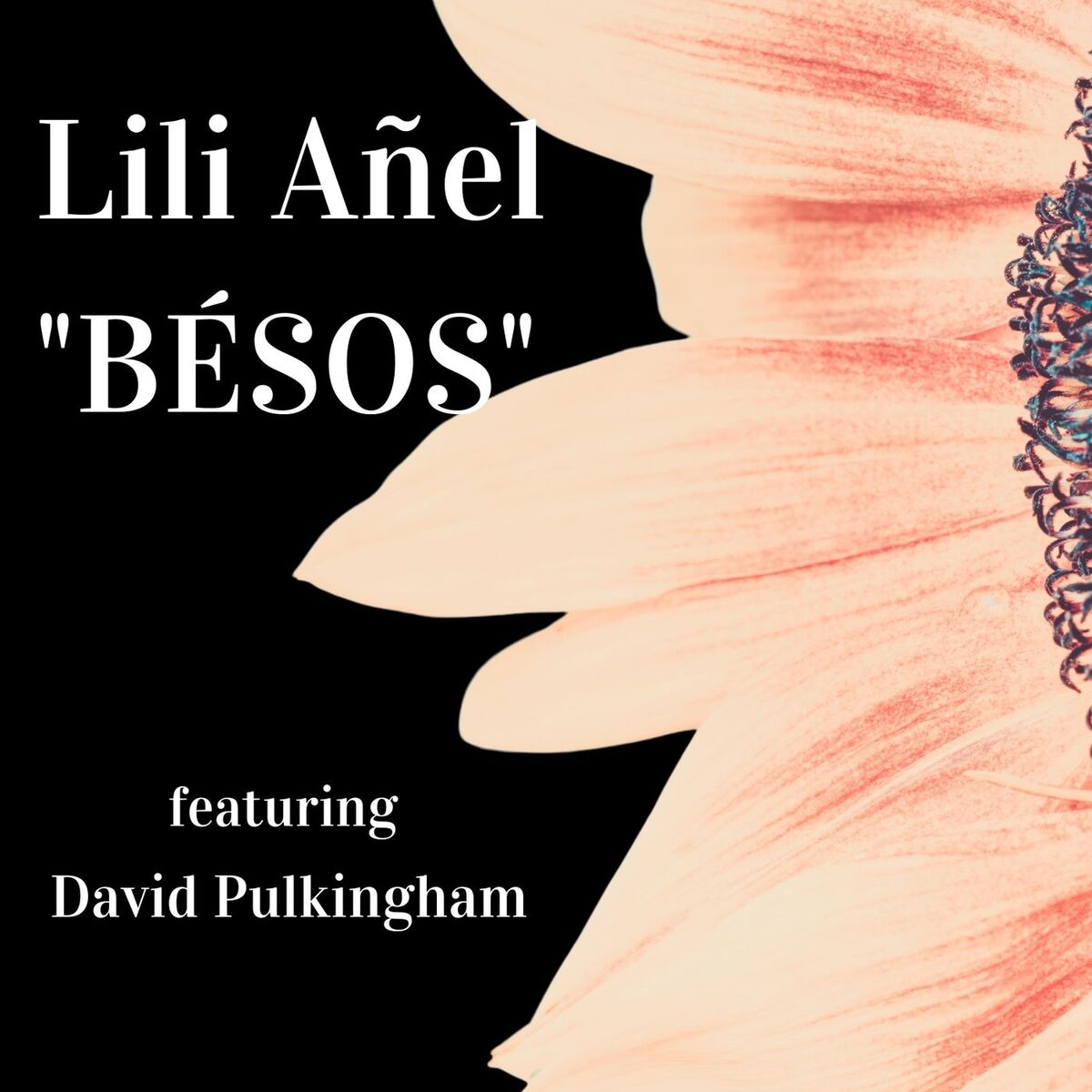 Album cover of Bésos