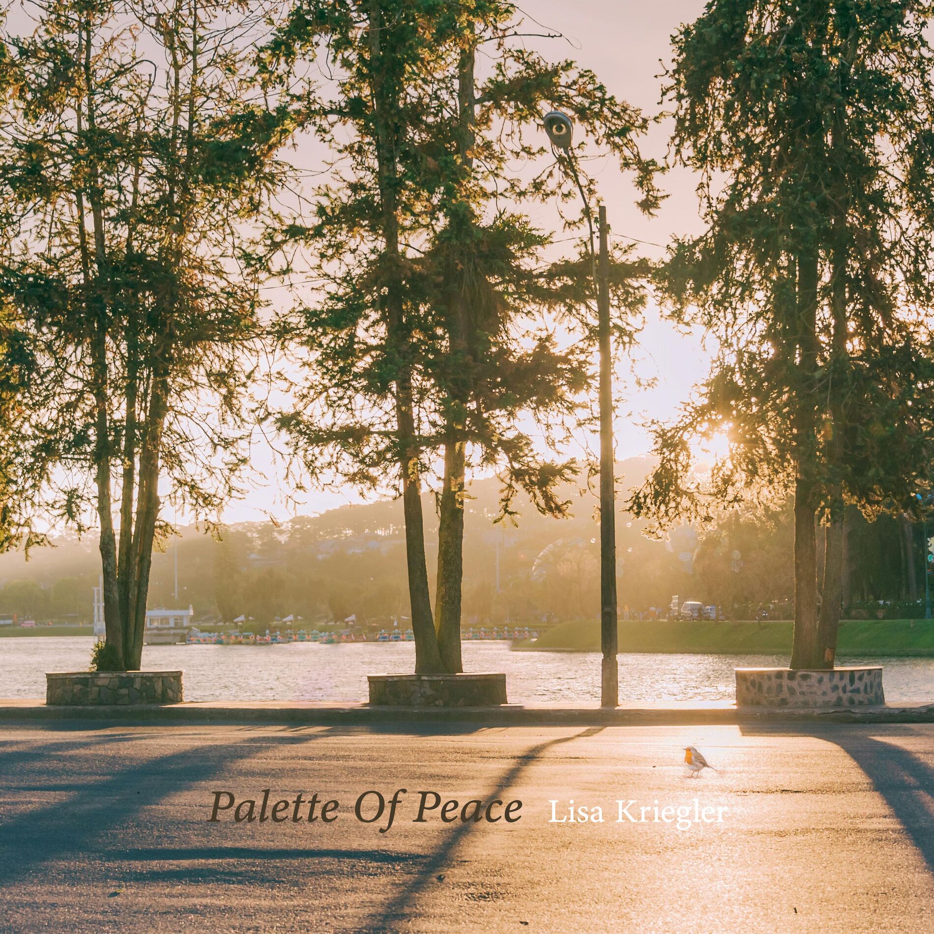 Album cover of Palette Of Peace