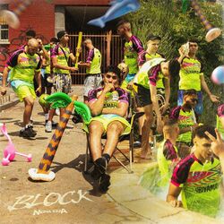 Cover of Block