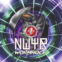 Cover of Wormhole