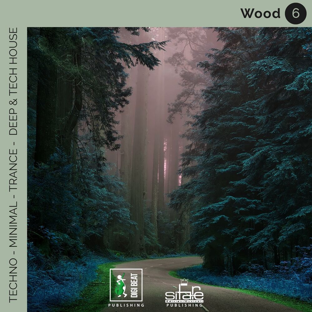 Picture of Wood 6 (Techno Minimal Trance Deep and Tech House Remix)
