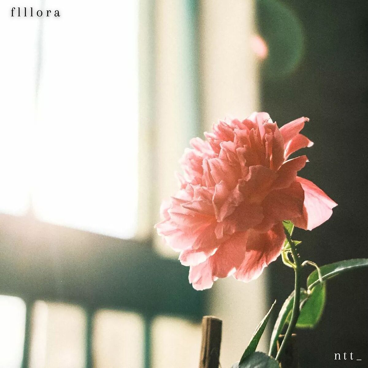 Album cover of Seilla