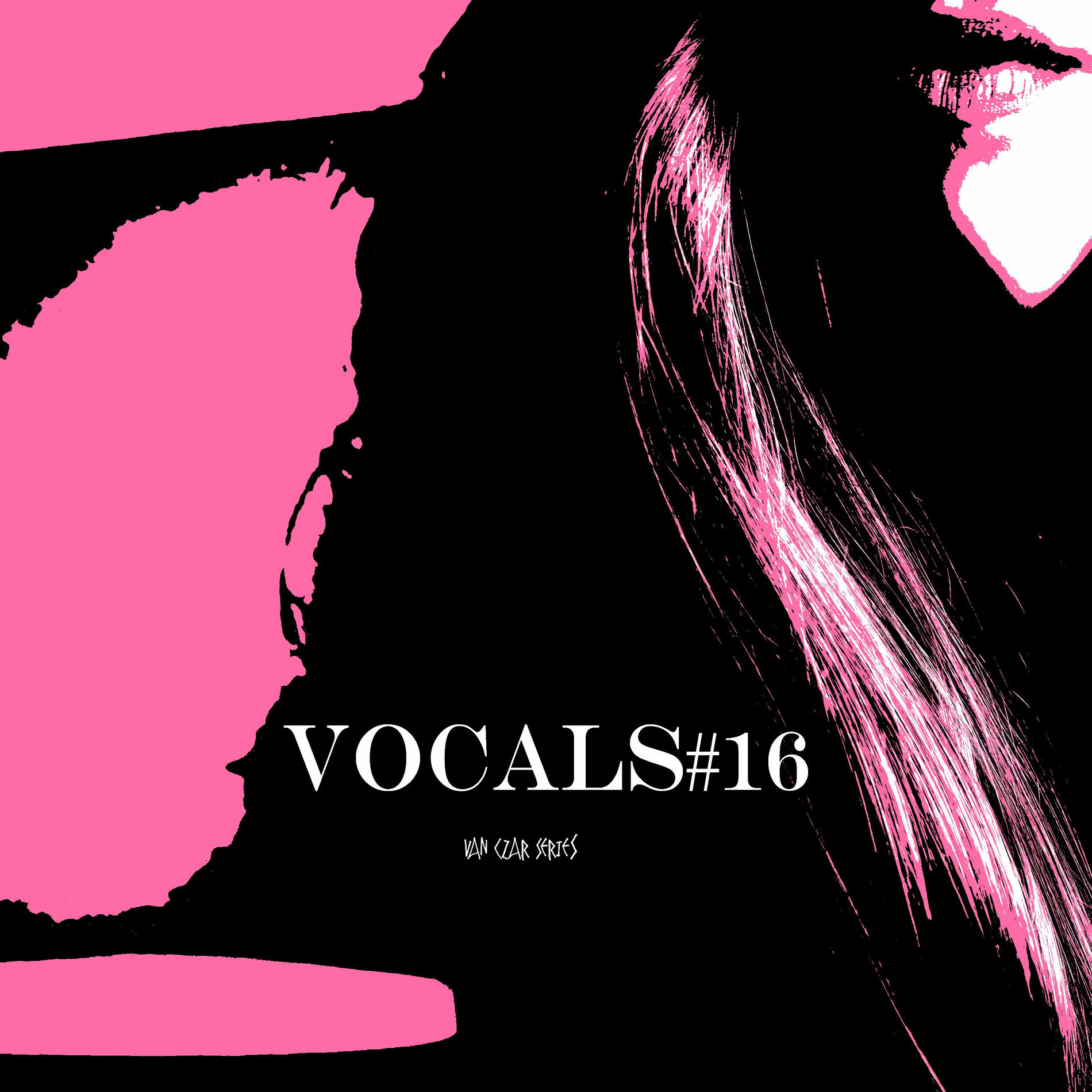 Album cover of Vocals #16