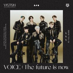 Cover of VOICE : The future is now
