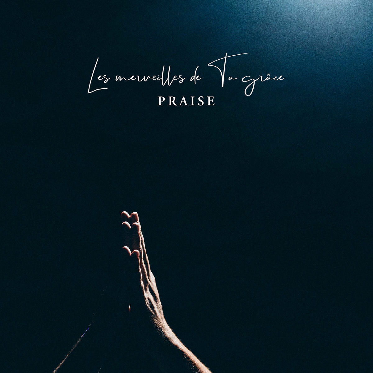 Album cover of Les merveilles de ta grâce