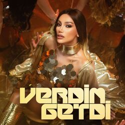 Cover of Verdim Getdi