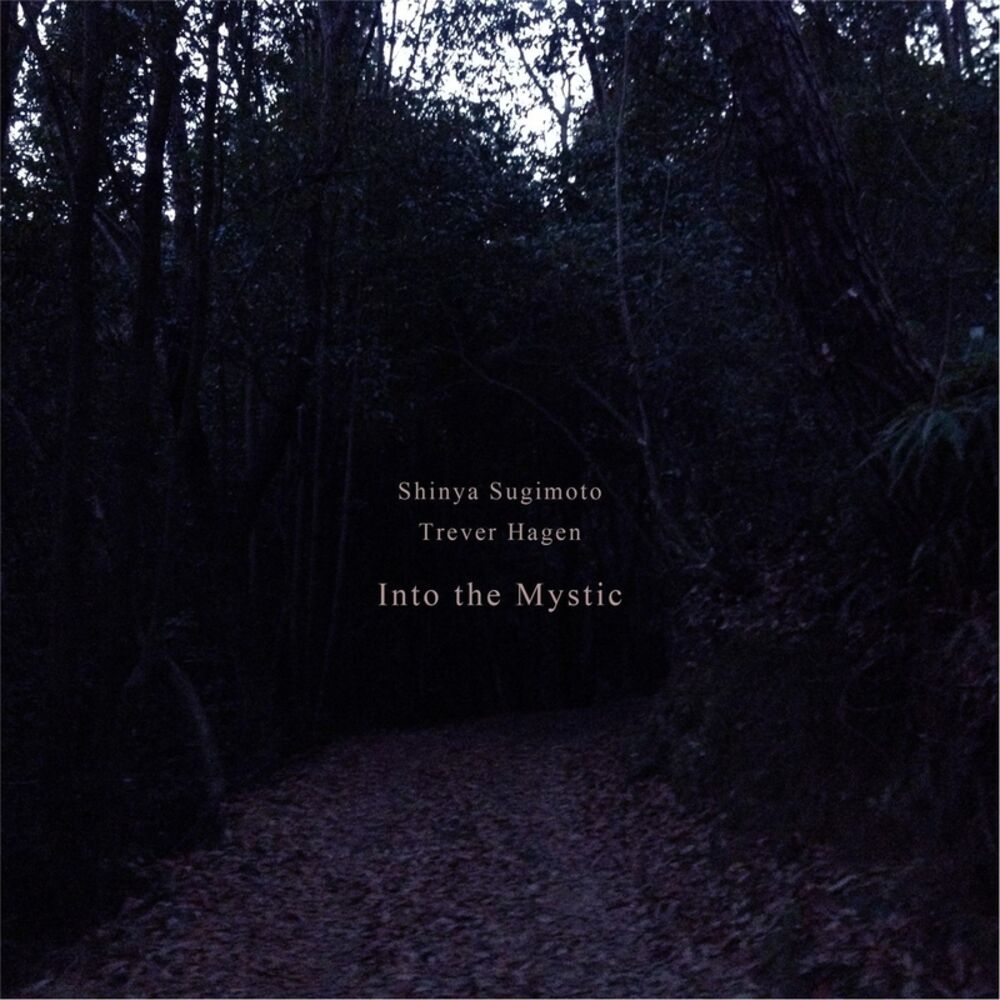 Picture of Into the Mystic
