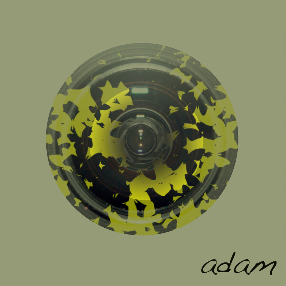 Picture of Adam