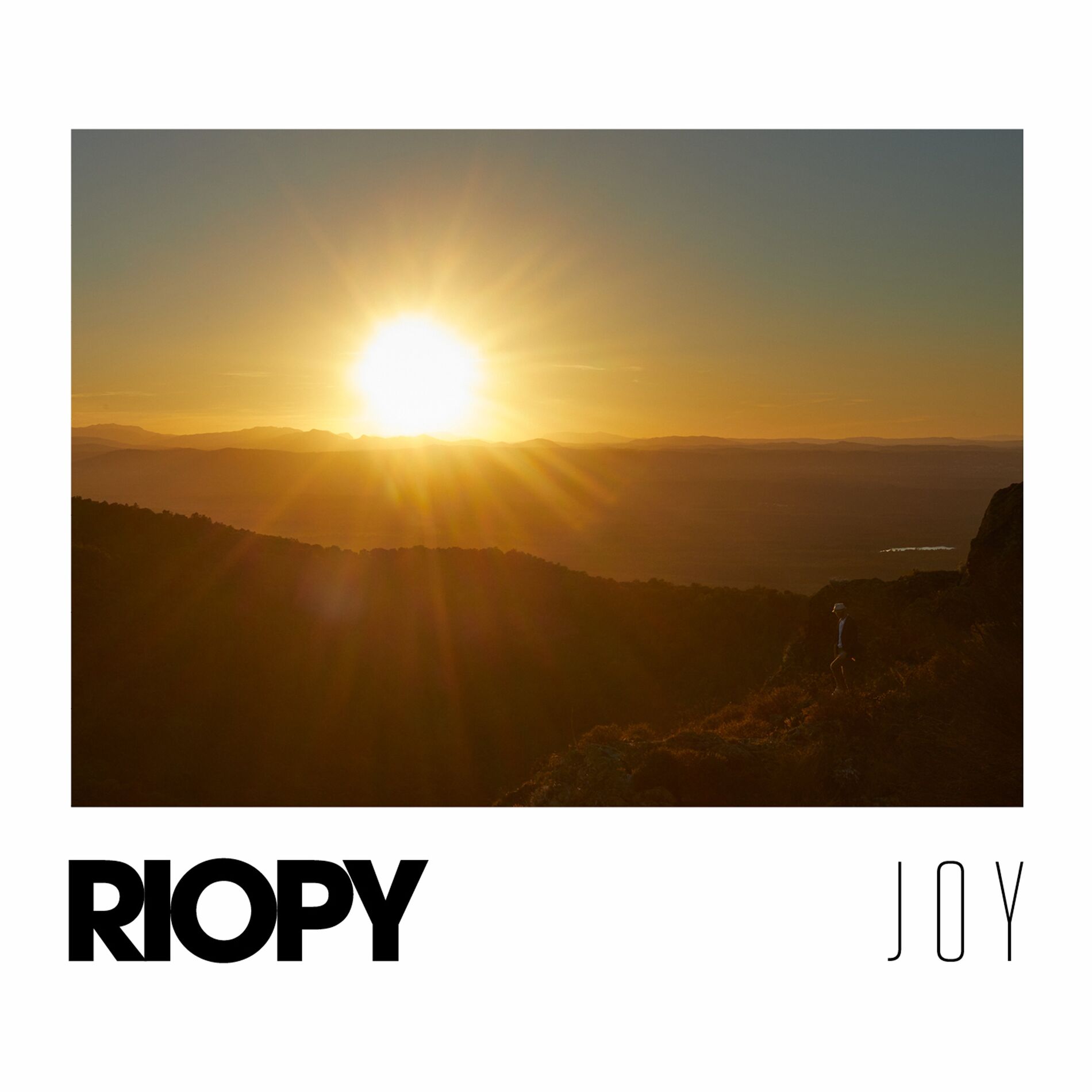 Album cover of Joy