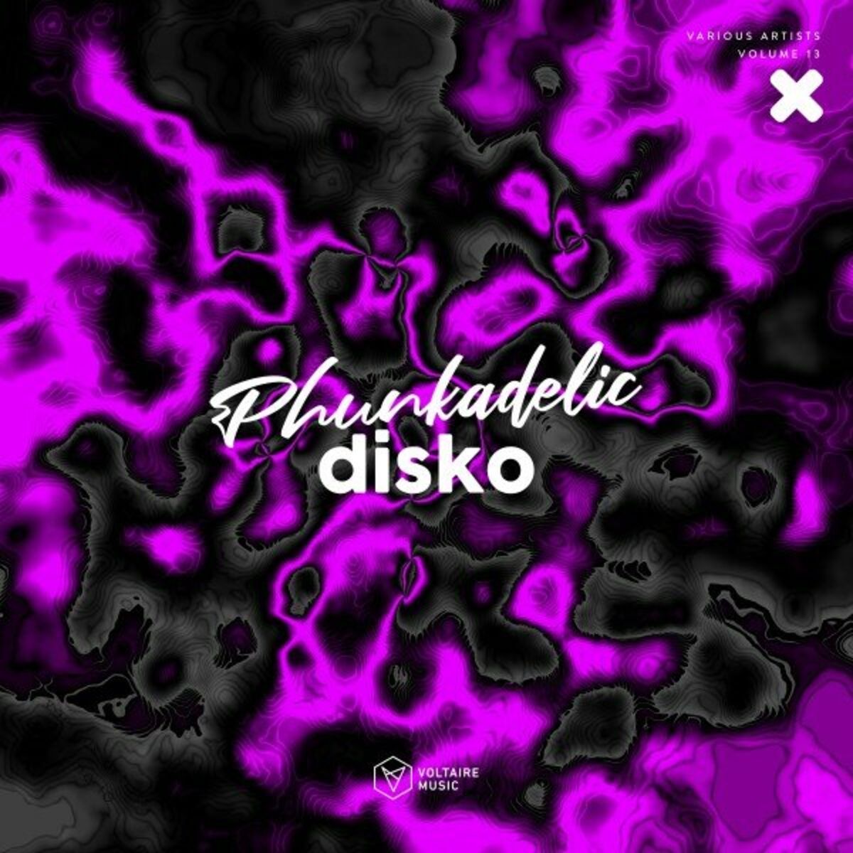 Album cover of Phunkadelic Disko, Vol. 13