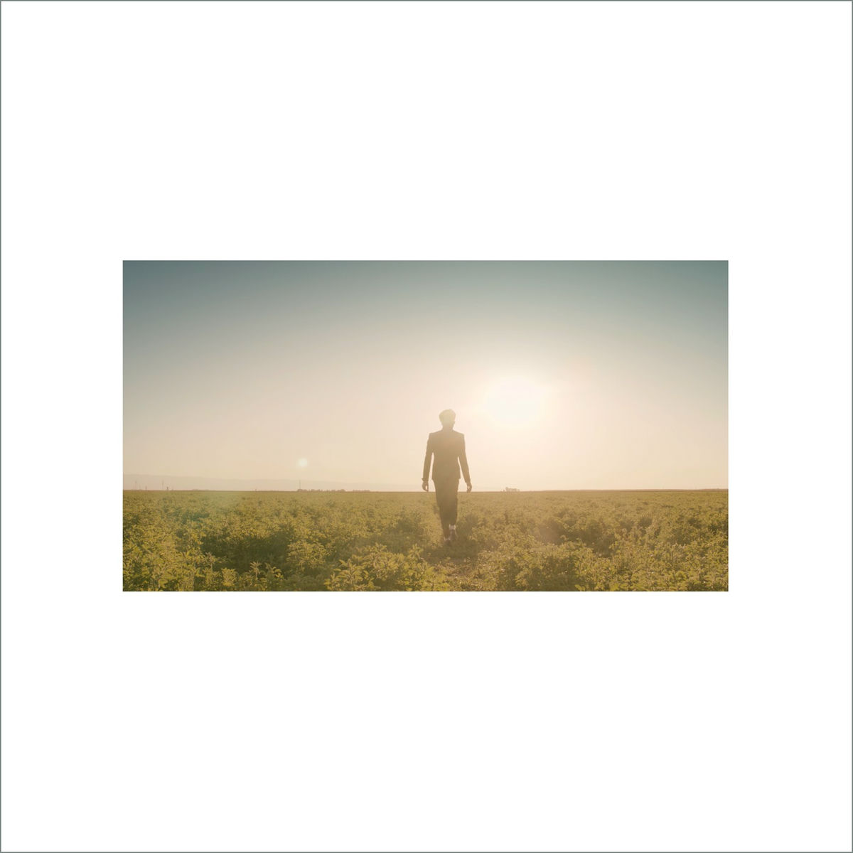 Album cover of Like a Dream
