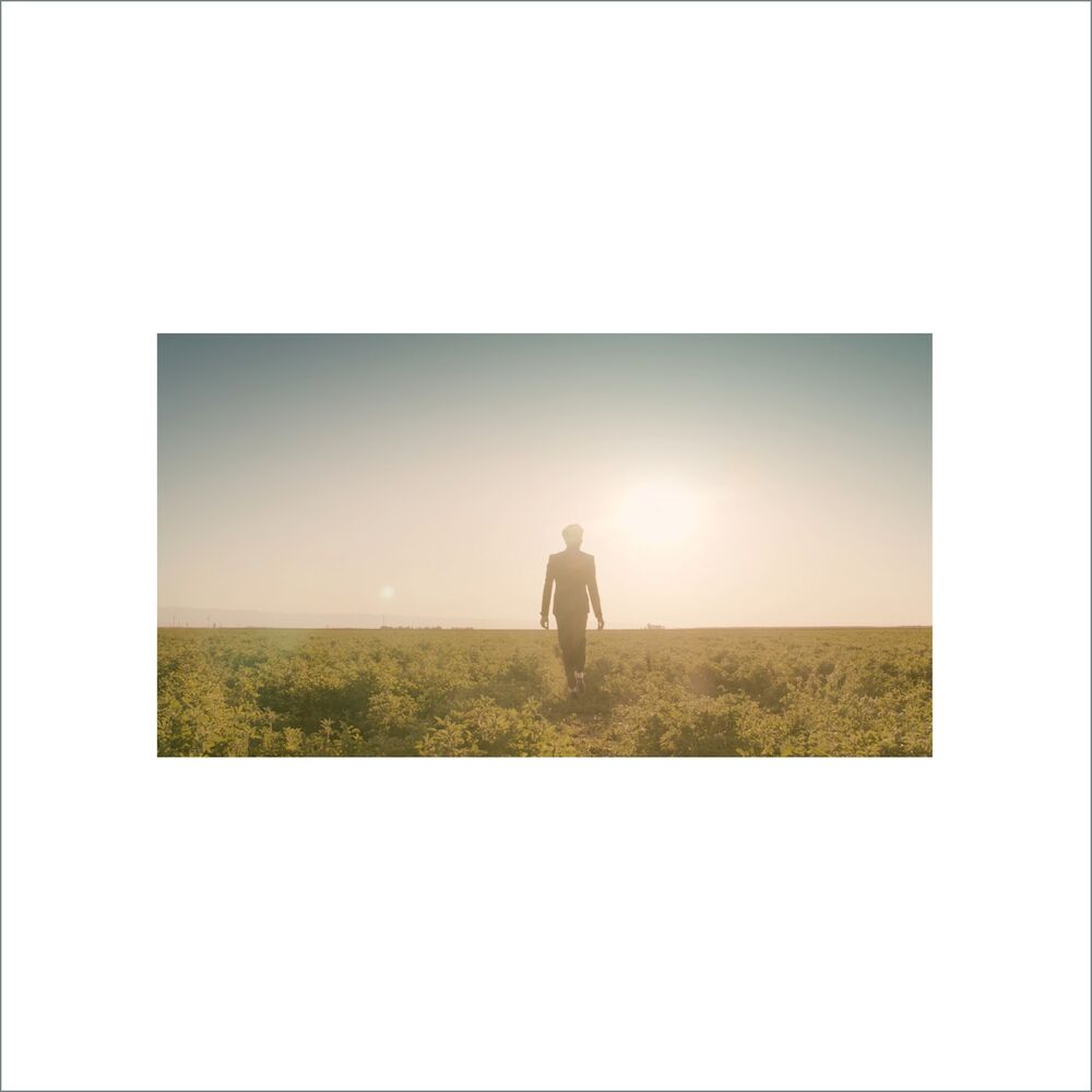 Picture of Like a Dream
