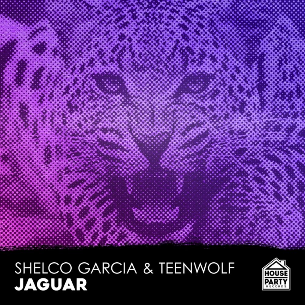 Picture of Jaguar EP