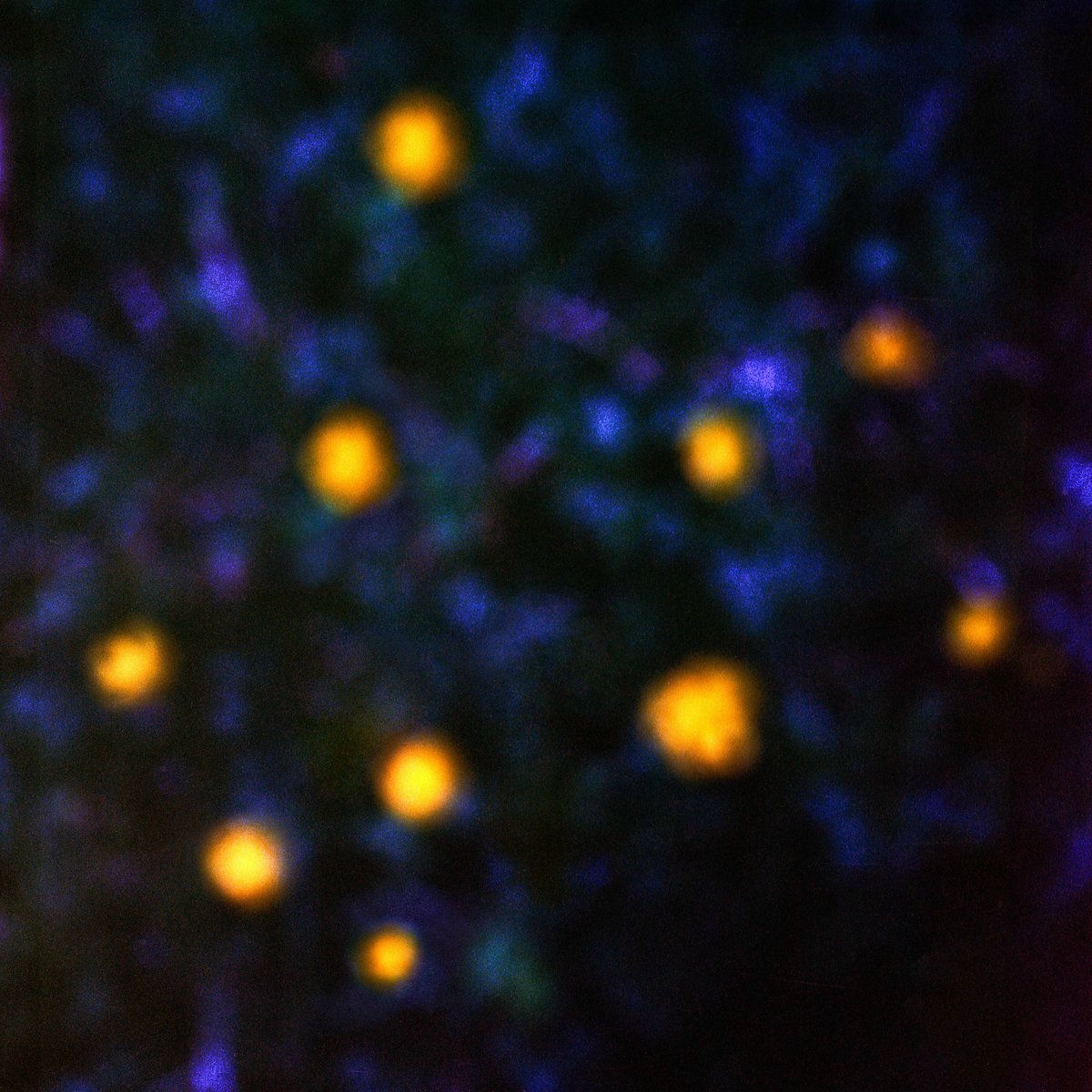Album cover of Daemmerlicht