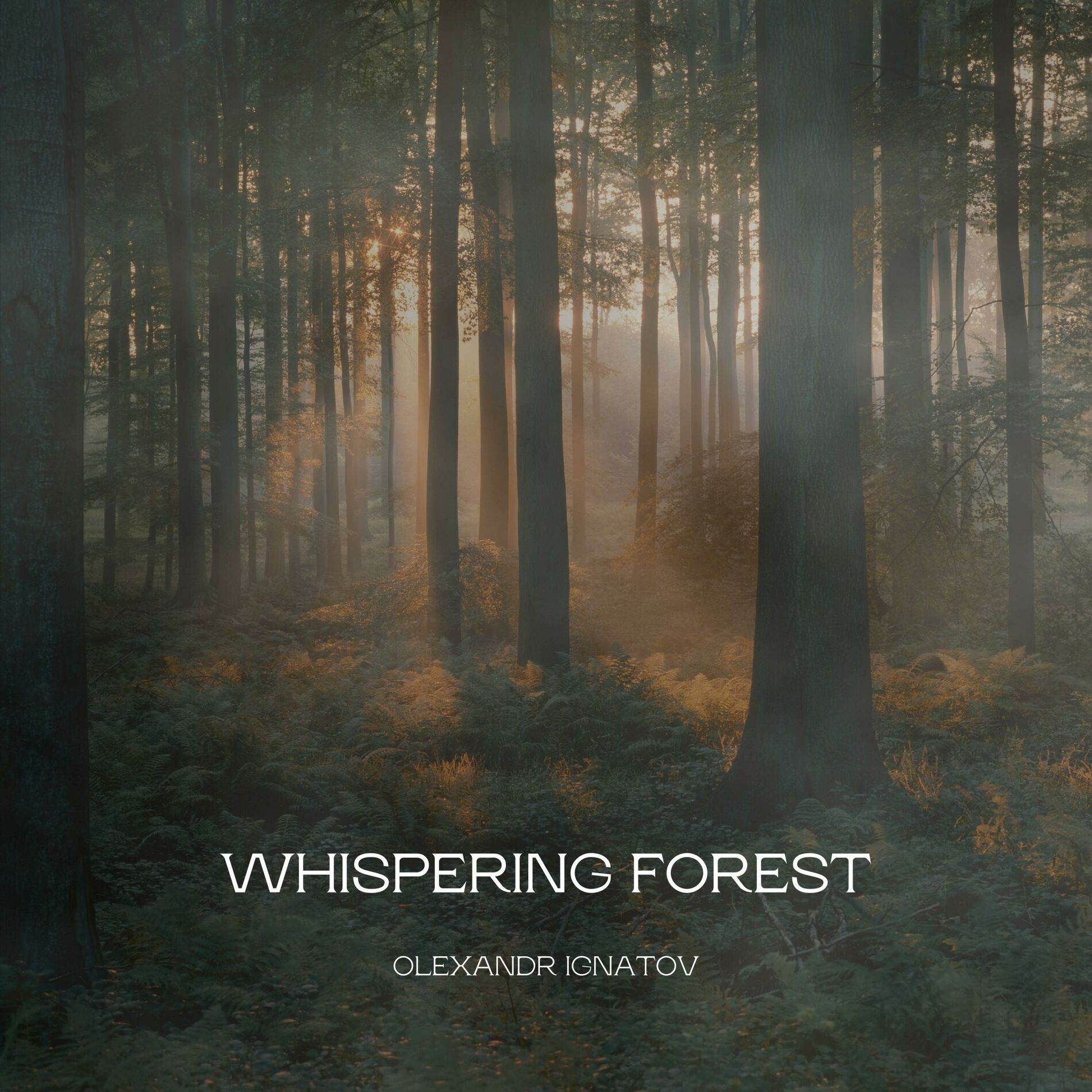 Album cover of Whispering Forest
