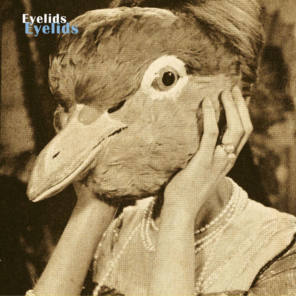 Picture of Eyelids
