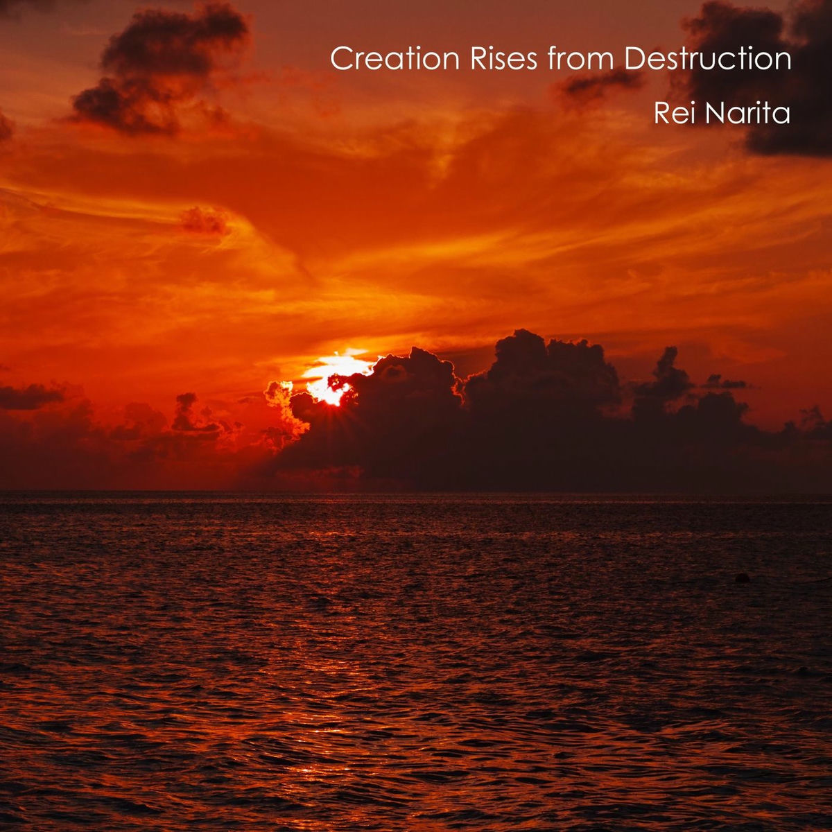 Album cover of Creation Rises from Destruction