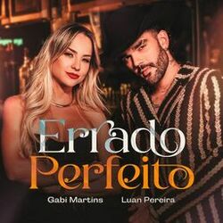 Cover of Errado Perfeito