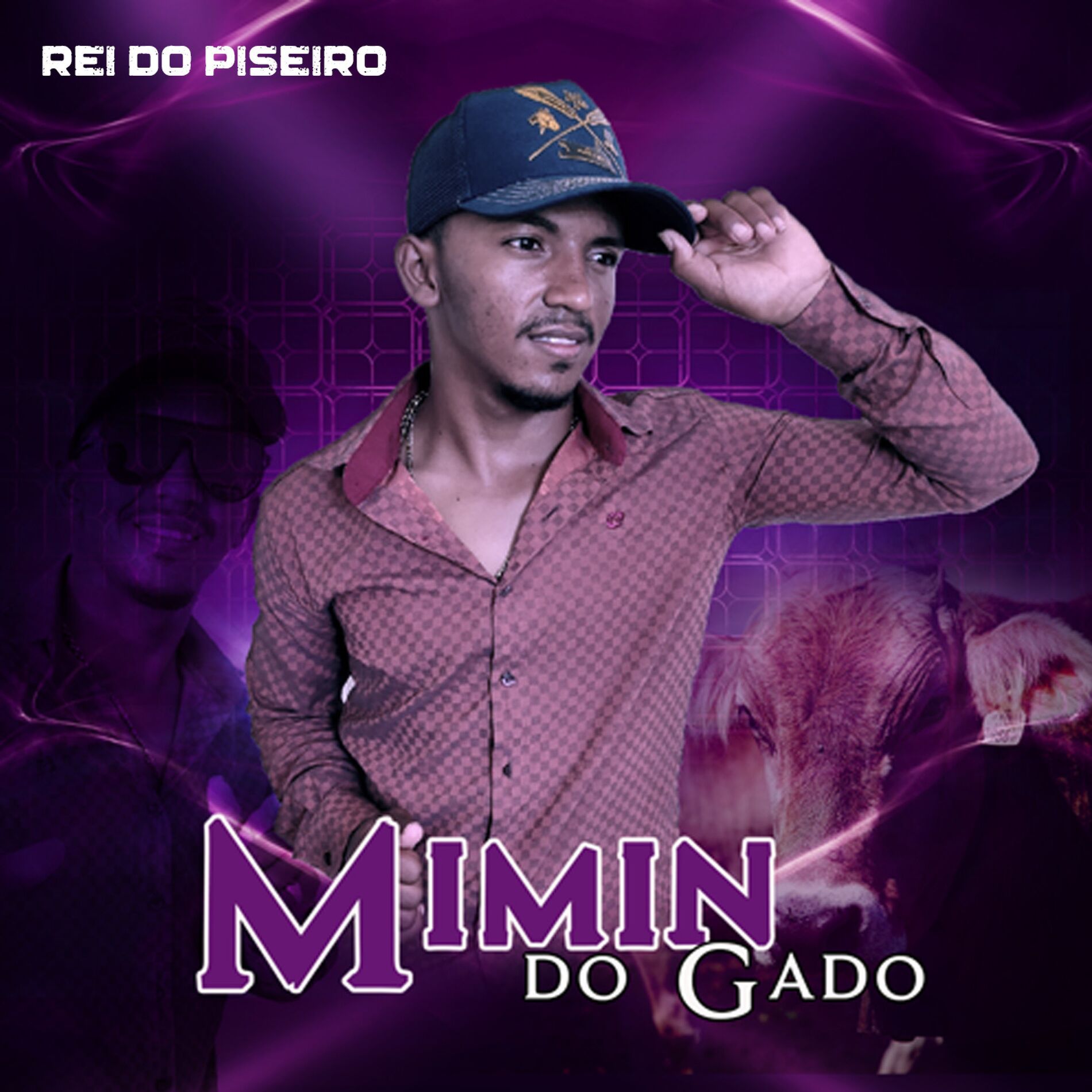 Album cover of Rei do Piseiro