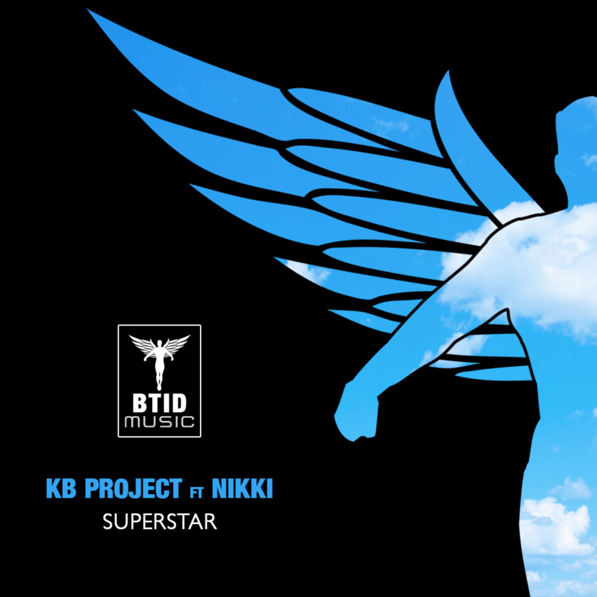 Album cover of Superstar