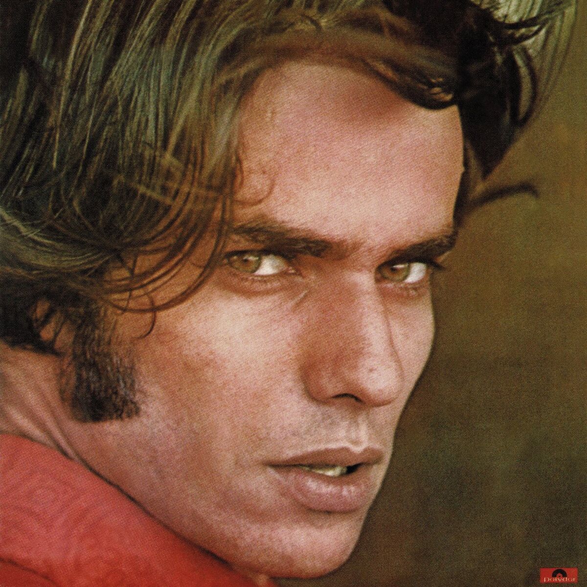 Album cover of A Máquina Voadora