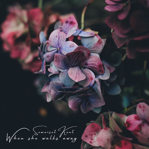 When she walks away by Somerset Kent - 114 BPM & Key N/A