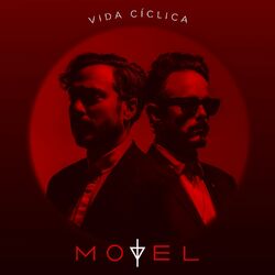 Cover of Vida Cíclica