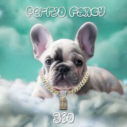 Cover of 360