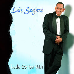Cover of Todo Exitos, Vol. 1