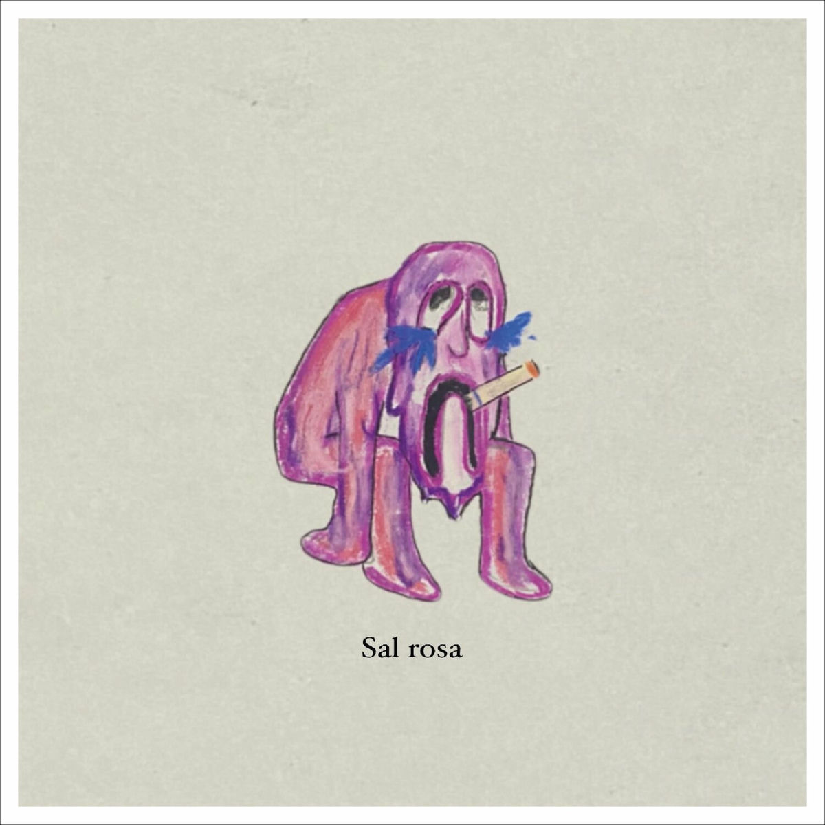 Album cover of Sal rosa