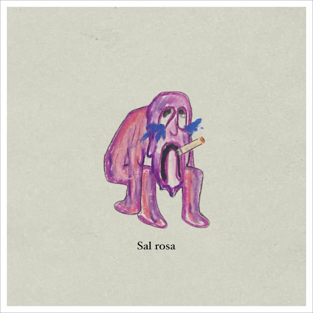 Album cover of Sal rosa