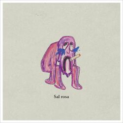 Cover of Sal rosa