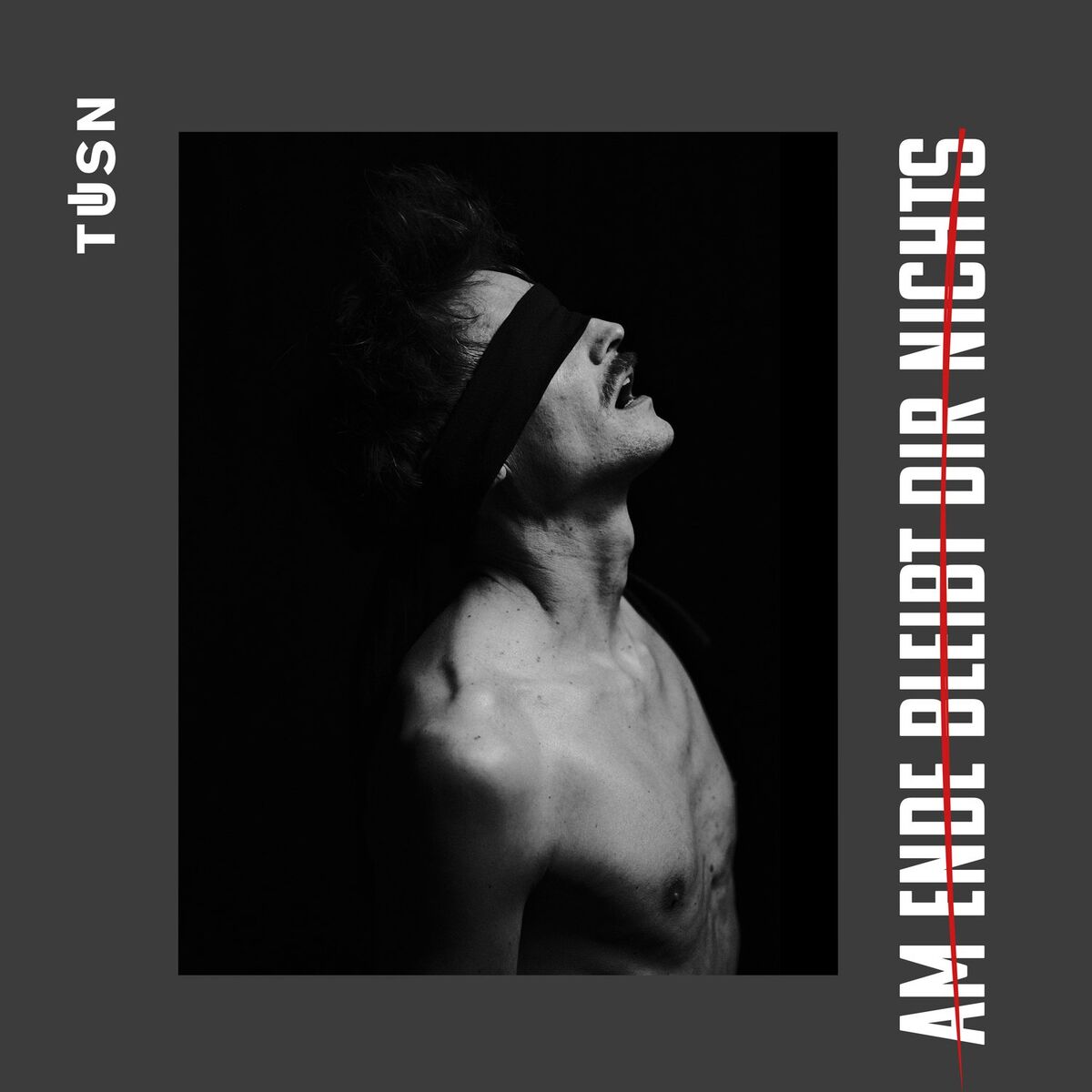 Album cover of Am Ende bleibt dir nichts