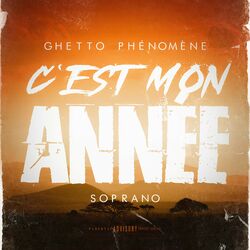 Cover of C'est mon année