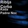 Kada Padne Noc
