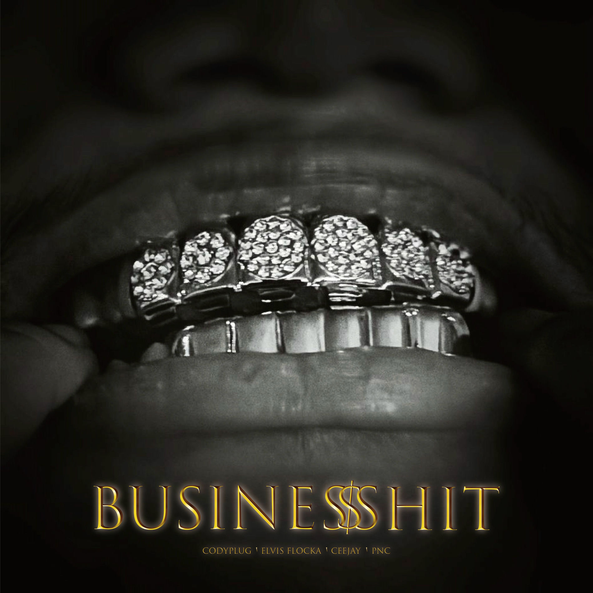 Album cover of Business $hit