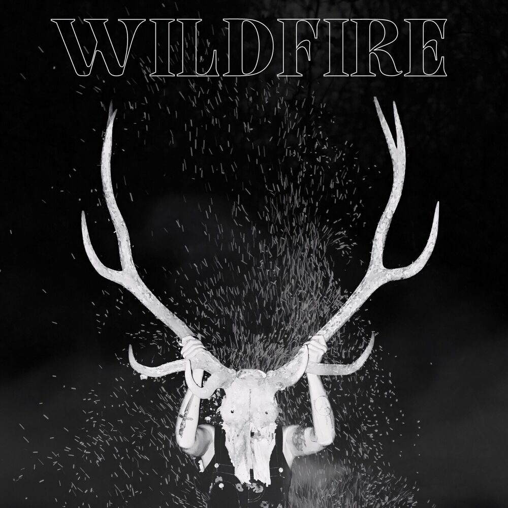 Picture of Wildfire