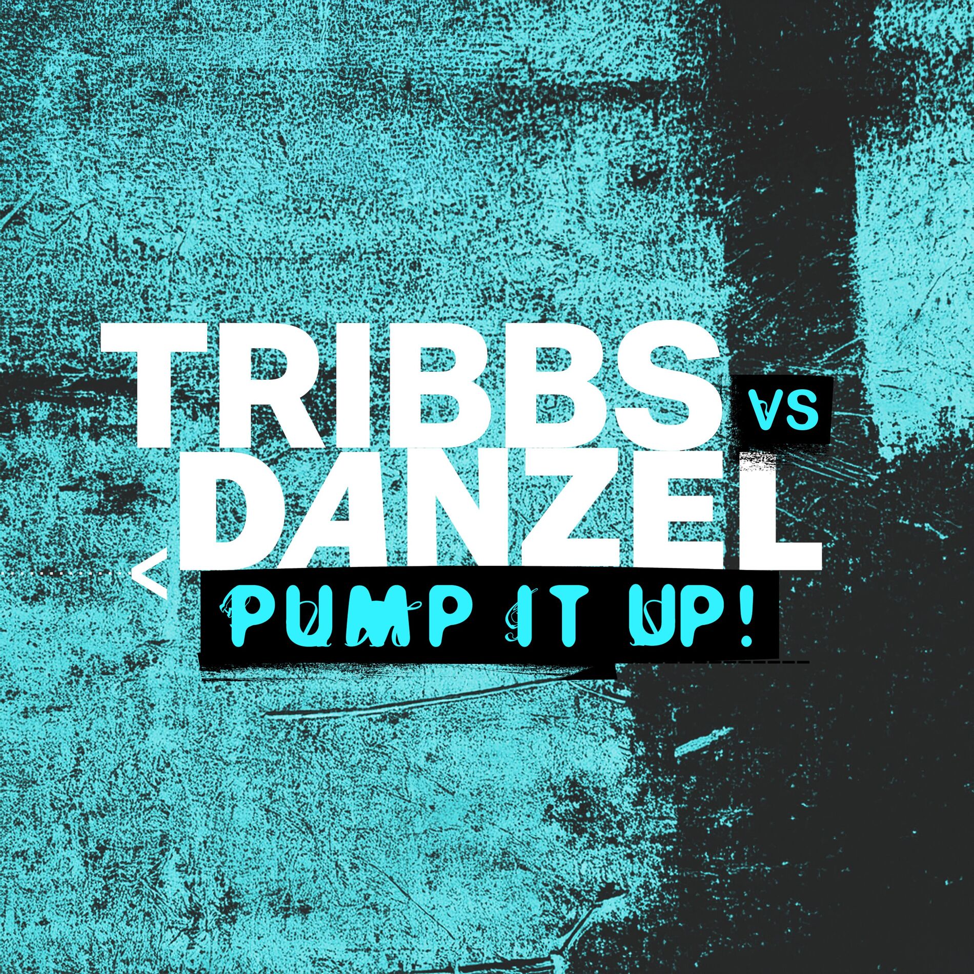 Album cover of Pump It Up