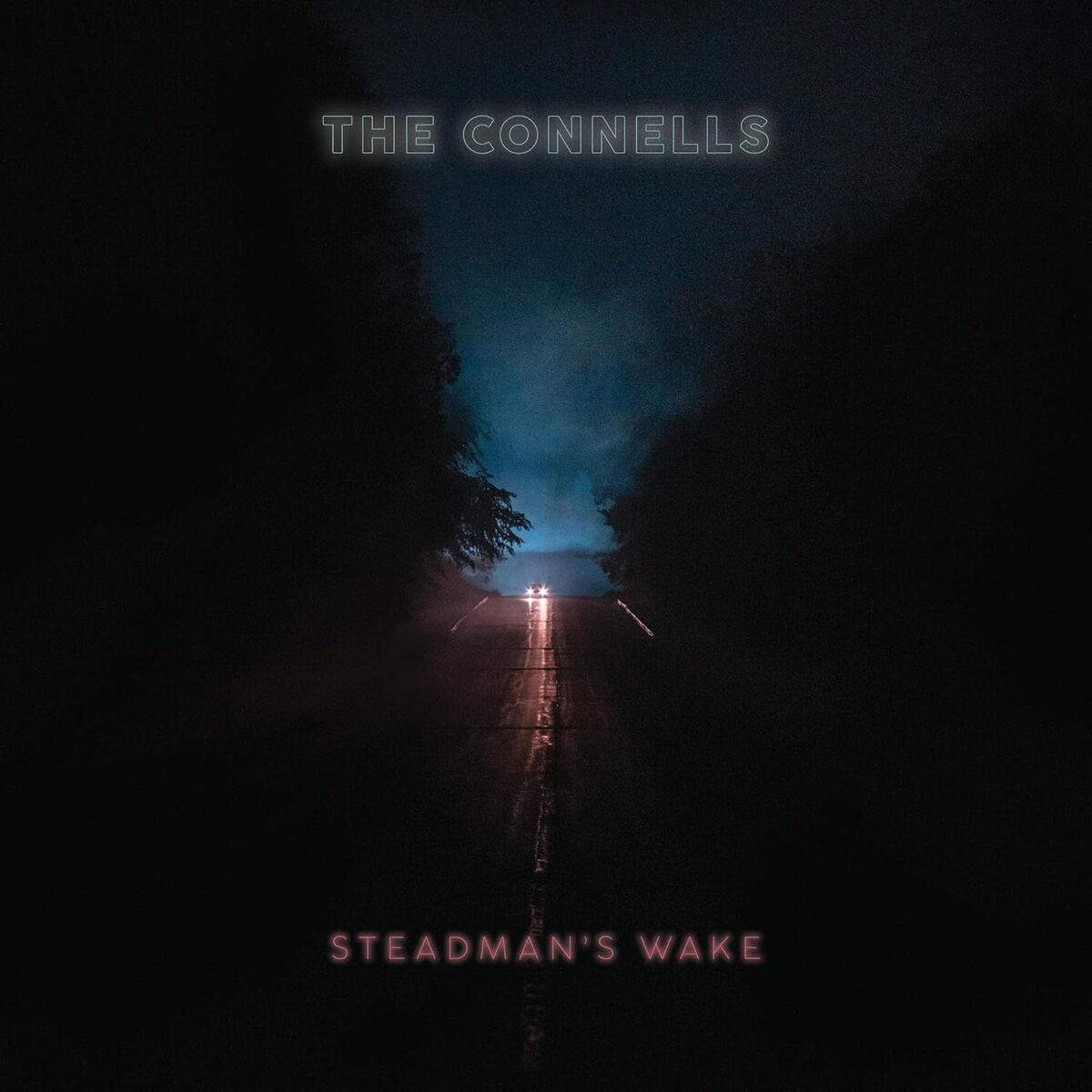 Album cover of Steadman's Wake