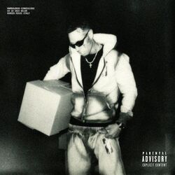 Cover of CONNESSIONI