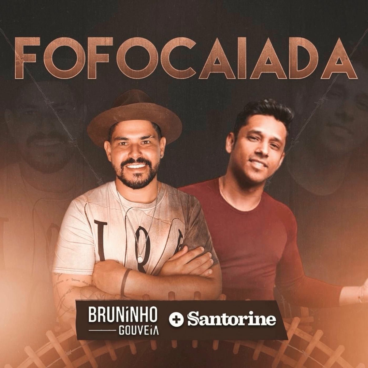 Album cover of Fofocaiada (Ao Vivo)