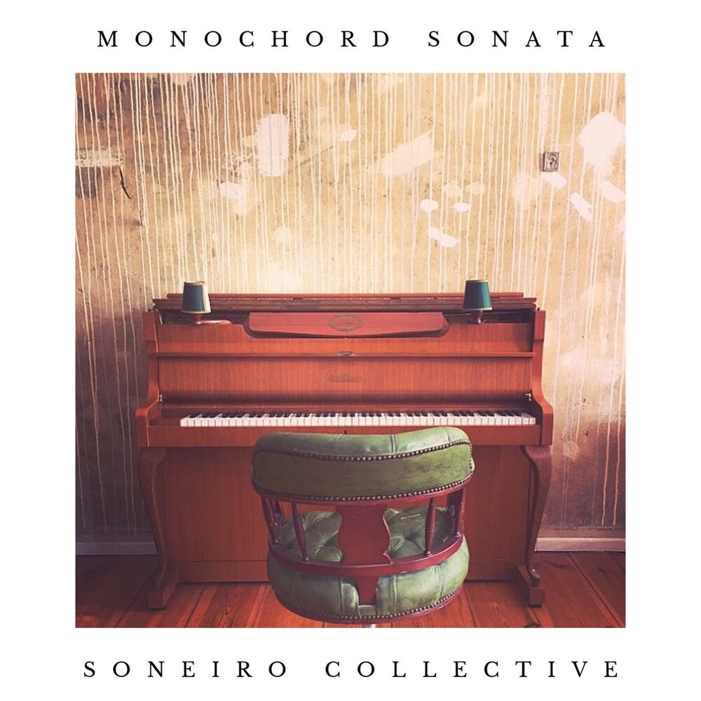 Picture of Monochord Sonata