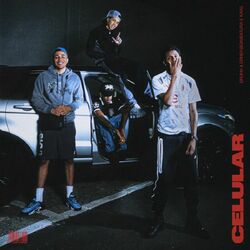 Cover of Celular