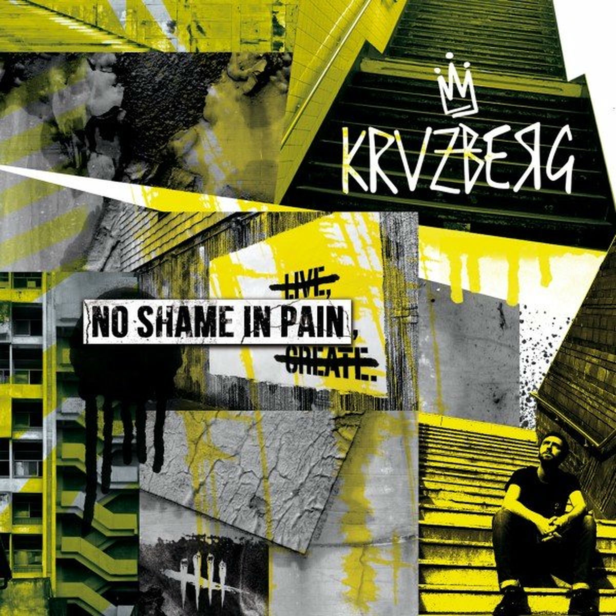 Album cover of No Shame in Pain