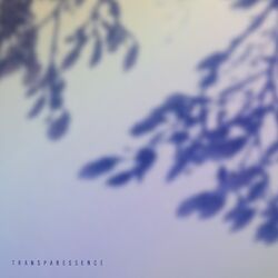 Cover of Transparessence