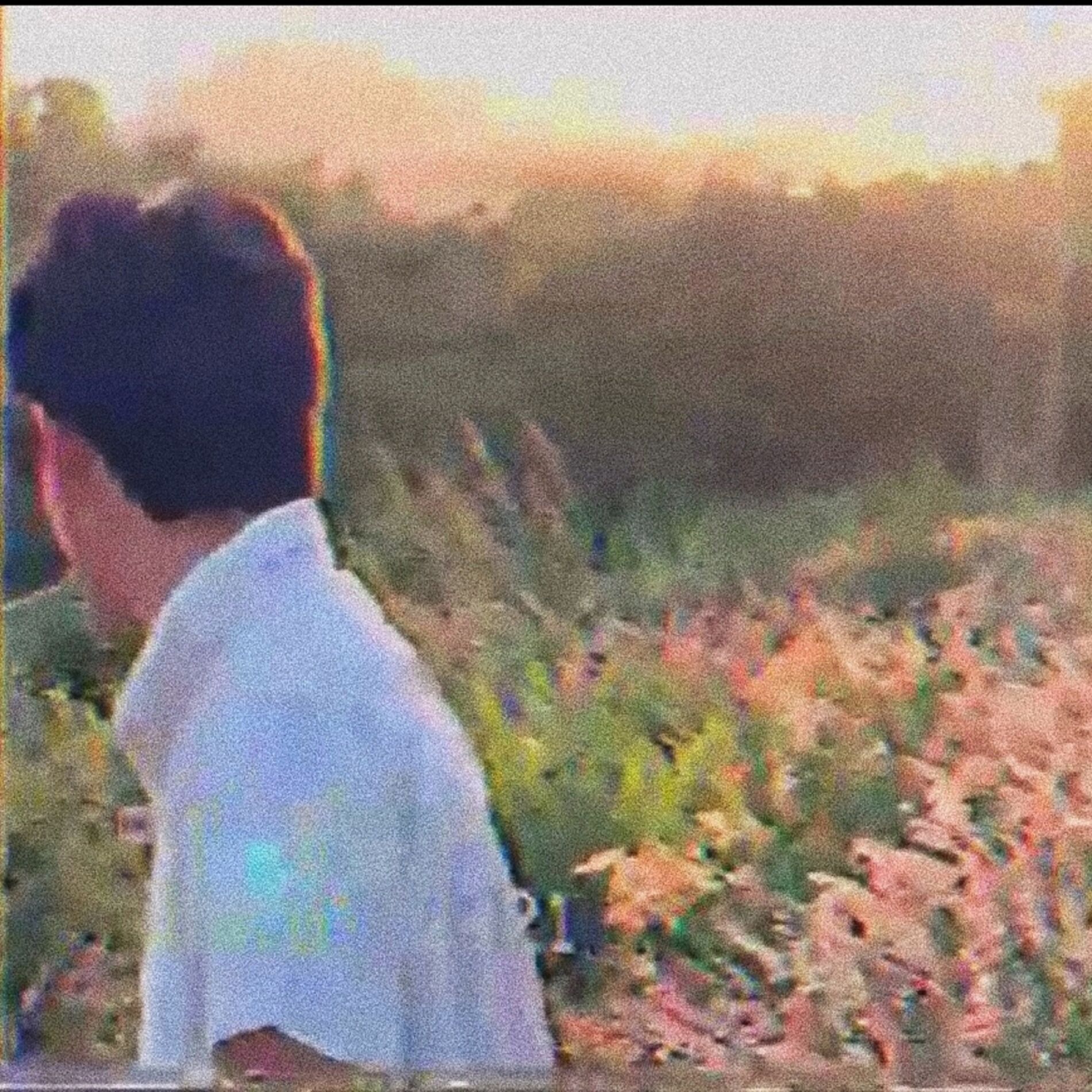 Album cover of See U Next Summer