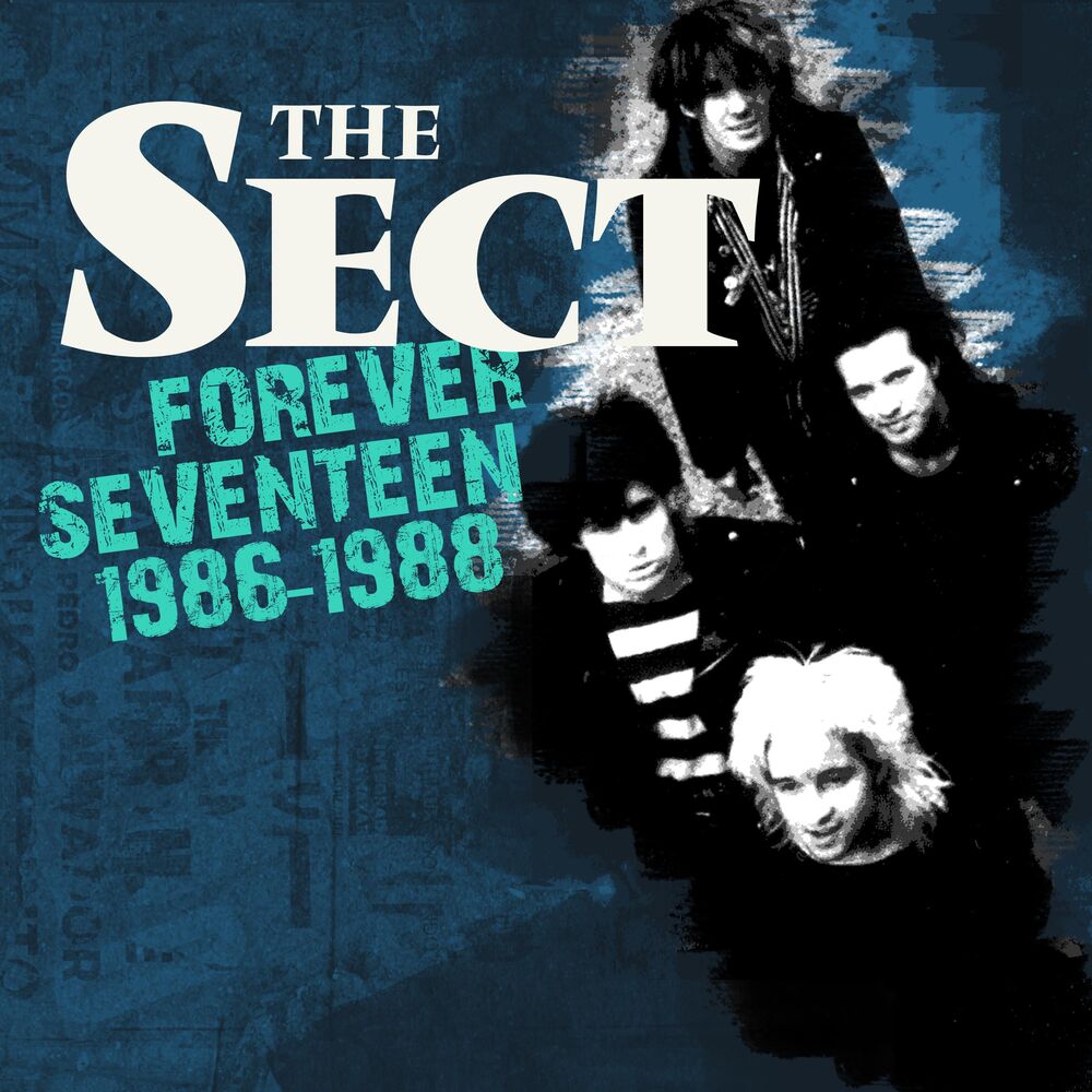 Picture of Forever Seventeen 1986-1988