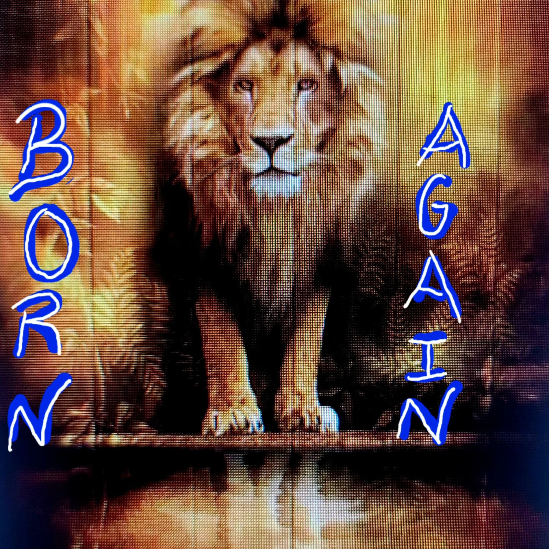 Album cover of Born Again