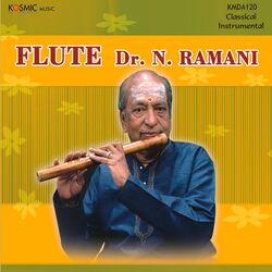 Cover of Flute Dr.N.Ramani